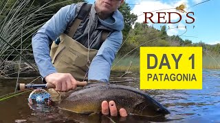 Brown Trout Caught on Mouse Patterns // Patagonia Day 1, 2024