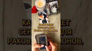 💦СЕНТЯБРЬ ДЛЯ ВОДНЫХ ЗНАКОВ #tarotcards #tarot #таро #таролог #таролог #гадание #раскладтаро