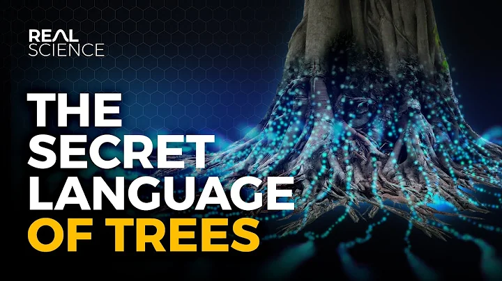 The Secret Language of Trees - DayDayNews