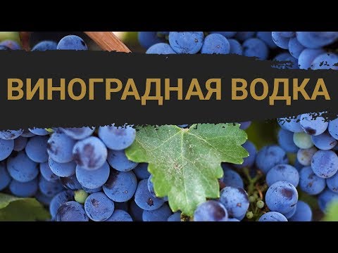 Как сделать водку из винограда в домашних условиях