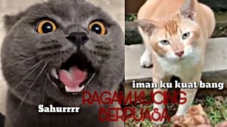 KUCING PUN NAK PUASA (LAWAK)