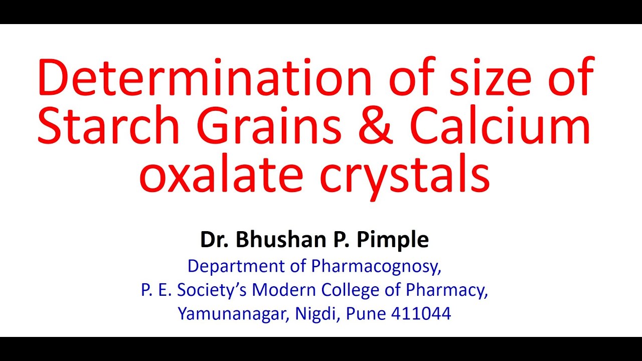 Определение среднего диаметра крахмала и размера оксалата кальция: д-р Бхушан Пимпле.
