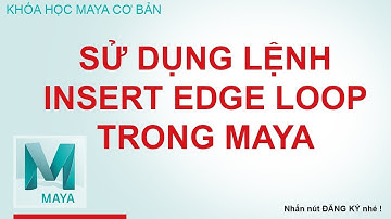 Học Maya hướng dẫn sử dụng lệnh Insert Edge Loop trong Maya