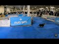 2024 Spring Canadian Pet Expo 4K ,International Centre,Mississauga.#cpe