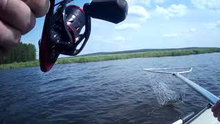 видео: Рыбный бум или бунт!?😁открытие сезона, ПОЕХАЛИ!!!!! картинка: Рыбный бум или бунт!?😁открытие сезона, ПОЕХАЛИ!!!!!