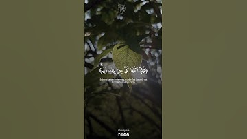 القارئ ريان المحيسني تلاوة جميلة 🎧🩵 #explore