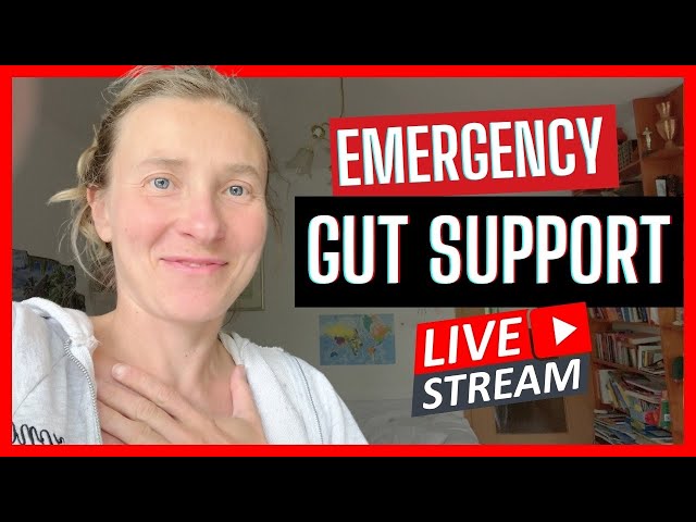 How Fight-or-Flight Blocks Your Gut Healing – LIVE Q&A