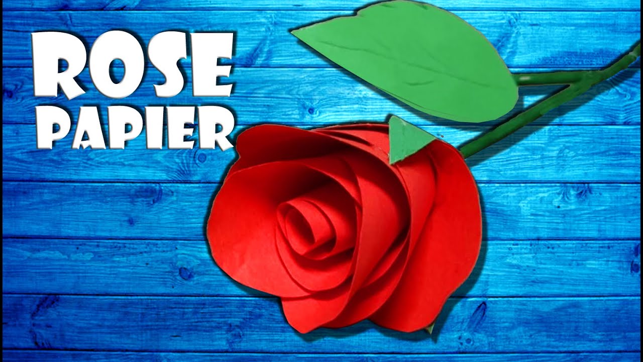 🌹 Papier Rose mit Stiel selber basteln aus A4 Papier - paper rose DIY