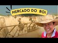 FAZENDAG3 - O QUE É O MERCADO DO BOI?