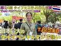  24 2024thai festival tokyo 2024 onechampjp