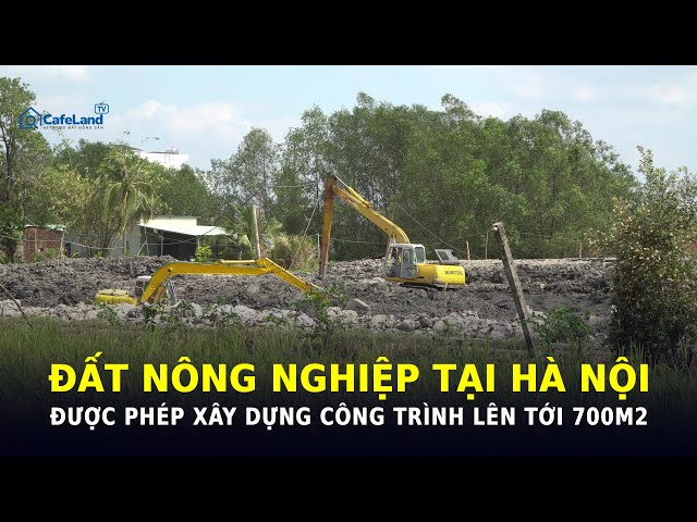 Đất nông nghiệp ĐƯỢC PHÉP XÂY DỰNG CÔNG TRÌNH lên tới 700m2 theo đề xuất mới