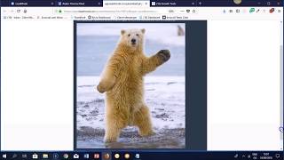 LeadModo Review - LeadModo OTO - Generate FREE FB messenger leads screenshot 5