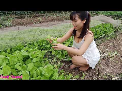 Beautiful single mom picking super cute vegetable | Beautiful mom