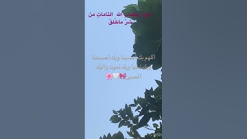 #تلاوات #قرآن #hijab #muslimgirl #محمد_اللحيدان 🤍🎀🎀🙂🎀🎀