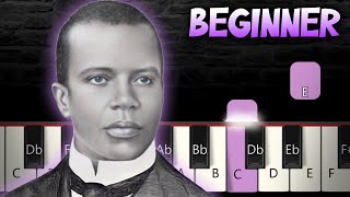 The Entertainer - Scott Joplin | BEGINNER Piano Tutorial