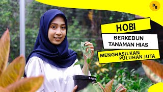 PELUANG USAHA | HOBI TANAMAN HIAS MENGHASILKAN PULUHAN JUTA