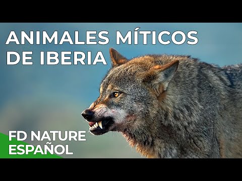 Animales Míticos de Iberia | Free Documentary Nature Español