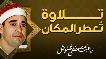 صوت عذب يبعث الطمأنينة | تلاوة تُشرح الصدر | القارئ الشيخ راغب غلوش