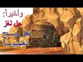 وأخيرا حل لغز الغار ونسج العنكبوت الأخ وحيد برنامج الدليل الحلقة 663 