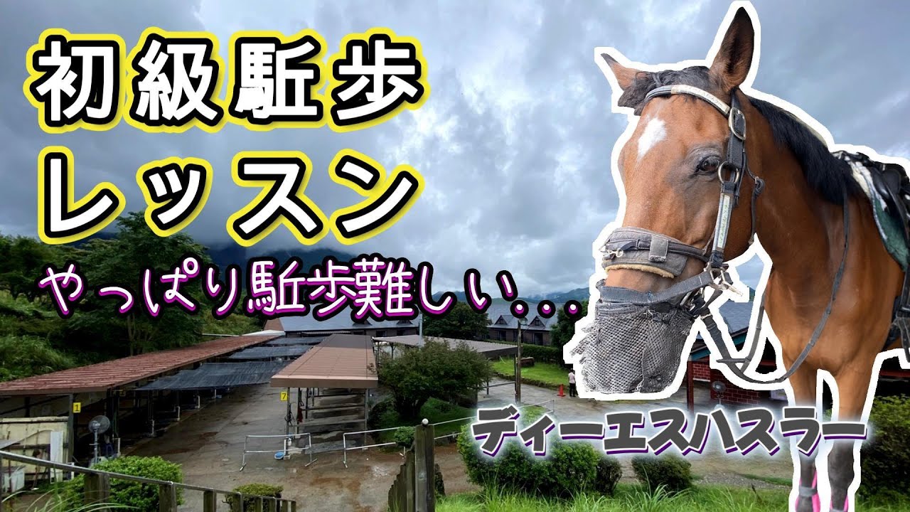 乗馬初心者【86日目】ディーエスハスラー × 駈歩練習 | やっぱり駈歩難しい