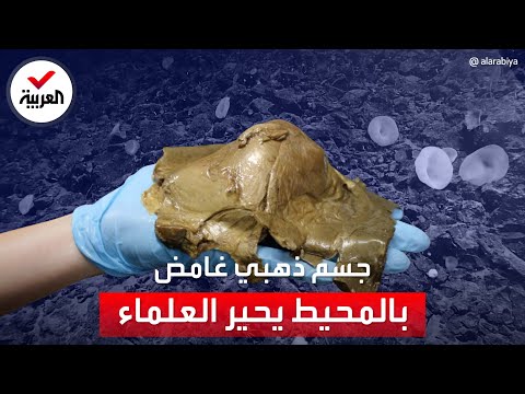 جسم ذهبي غامض في قعر المحيط يثير حيرة العلماء