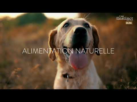 true-instinct-original-pour-chien-|-zooplus-fr