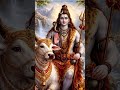 🙏🌼🪷🔱🌸🌹 #Har har mahadev, #Mahadev, #Bholenath, #Lord shiva 👍🌺, #ShivShankar 🙏🙏🔱
