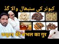 Kabootar ki sambhal ka gur aliimranpigeonsvlog kabootarbazi kabootarlovers