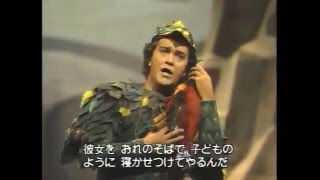 おれは鳥刺し （魔笛） マンフレート・ヘム - YouTube