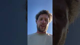 Ivlog - Tiago Took Itself Off For A Walk