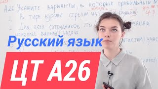 ЦТ А26.Склонение разных частей речи