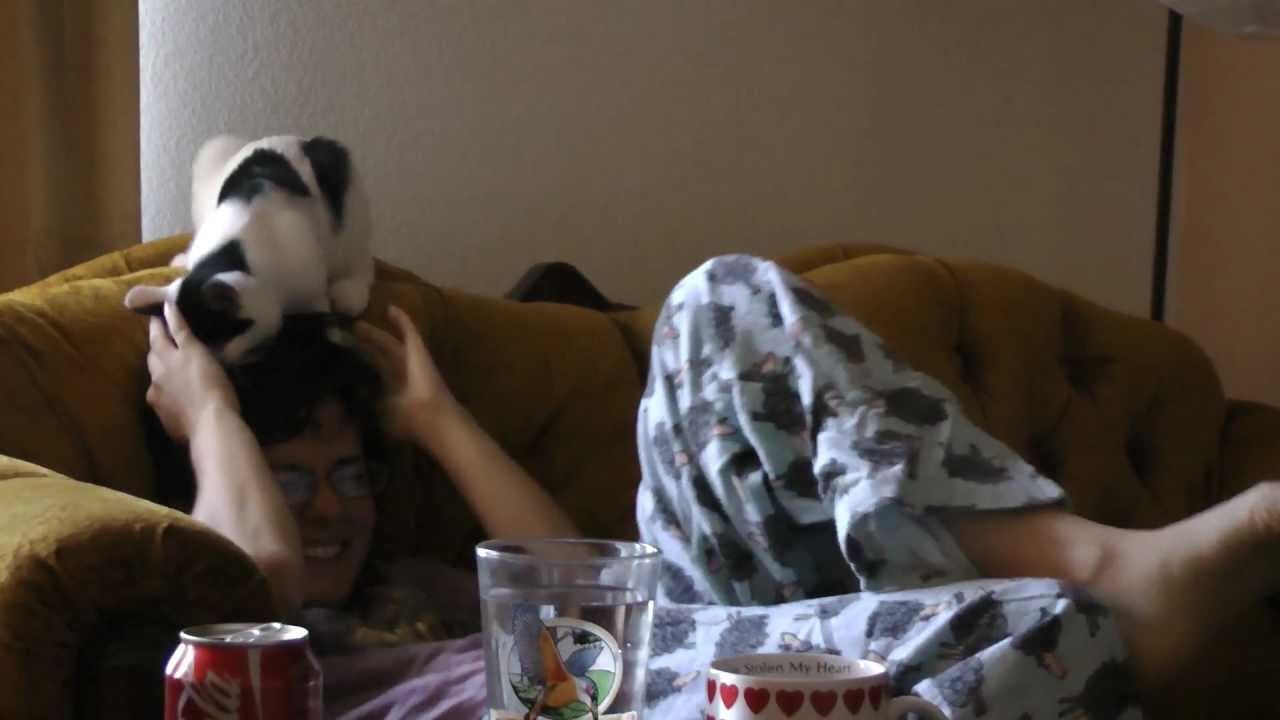 Cat chews hair YouTube