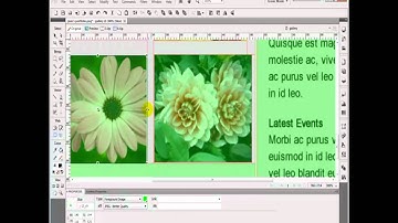 Creating a website using Fireworks and Dreamweaver (Part 4)
