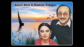 Sezen Aksu  & Özdemir Erdoğan - Küçük Bir Aşk Masalı Resimi