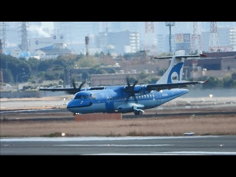 天草エアライン・みぞか号 生中継!伊丹空港!! Plane Spotting Osaka Itami Airport 09/08/2025