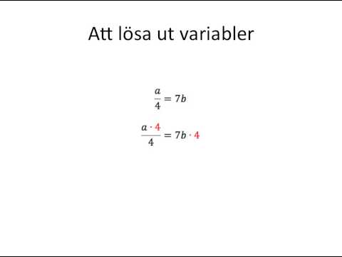 Video: Kärlek Efter Registerkontoret: Matematik Inom Familjepsykologi I Exakta Formler