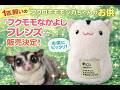 【フクロモモンガ】専用抱き枕『フクモモなかよしフレンズ』発売!