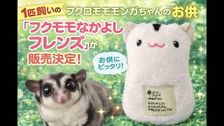 【Mee】フクロモモンガ抱き枕 Sugar glider] Special body pillow for sugar gliders, 