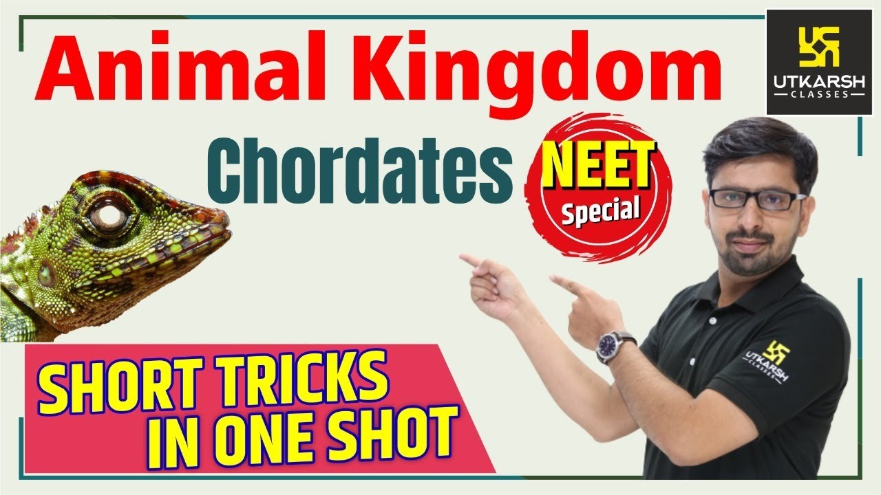 Animal Kingdom (Chordates) | Hindi Medium | Short Tricks | Biology | By  Surendra Sir - YouTube