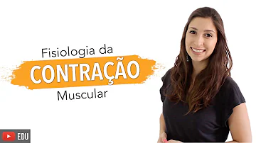 Como ocorre o processo de contração do músculo estriado esquelético?