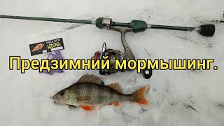 Предзимний мормышинг. Душевное закрытие сезона открытой воды, с DAYO Prestige 1.98.