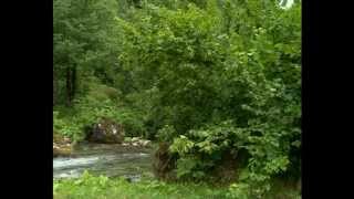 Erti Dge Sofelshi -Xino