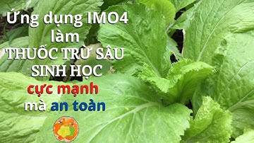 Cách làm thuốc trừ sâu sinh học tại nhà đơn giản, chi phí thấp!