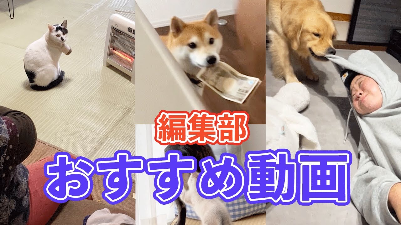 ペコ♫オーダーです♫ 😁