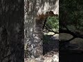 Ruínas de Sal em Jaburuna, Vila Velha