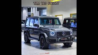 Там Таз Стелит