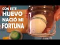 ATRAER DINERO, Riqueza y Abundancia. Facil y poderoso Ritual con Huevo  Vela Verde. Hechizo Efectivo