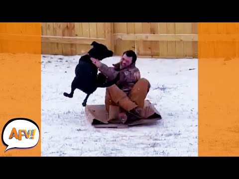 Just Some In Your Face FLYING FAILS! ? | Best Funny Fails | AFV 2022