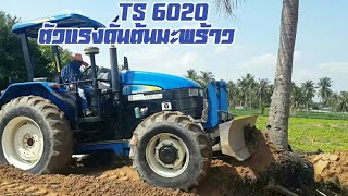 TS 6020 ตัวแรงล้มต้นมะพร้าว #รถไถดันต้นมะพร้าว#นิวฮอลแลนด์#ฟอร์ด