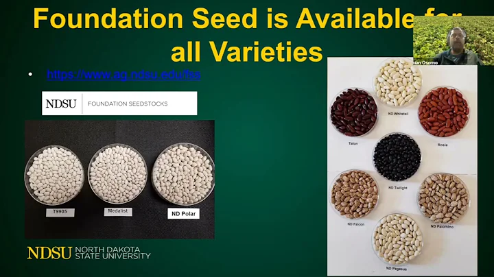 2023 Getting It Right Dry Bean Production:  Variety Performance with NDSU's Juan Osorno